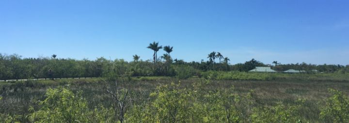 Everglades National Park + Biscayne National Park //&nbsp;Florida