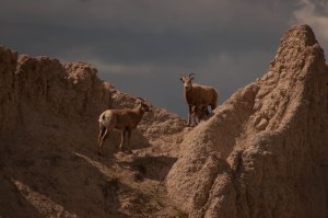Badlands NPS