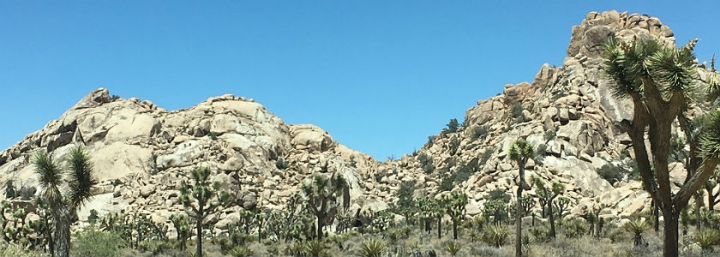 Joshua Tree National Park //&nbsp;California