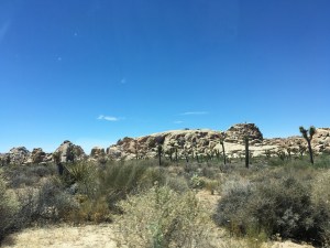 Joshua Tree National Park