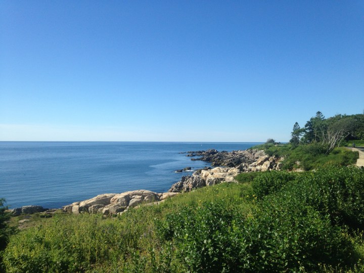 Planning the Summer and Wild&nbsp;Bumming