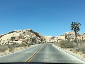 Joshua Tree National Park