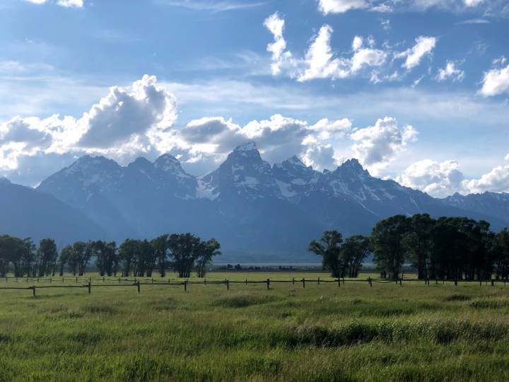Yellowstone, Grand Tetons + Jackson Hole&nbsp;Diary