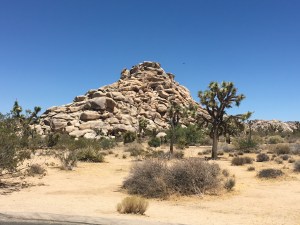Joshua Tree National Park