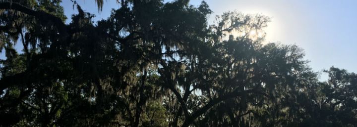 52 Hike Challenge // Weeks&nbsp;44-52