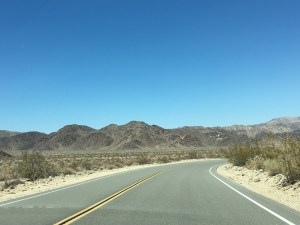 Joshua Tree National Park