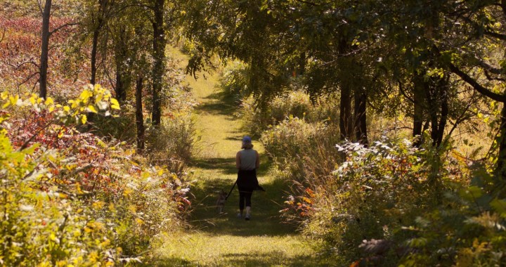 Fall 2018 Favorites //&nbsp;Minnesota