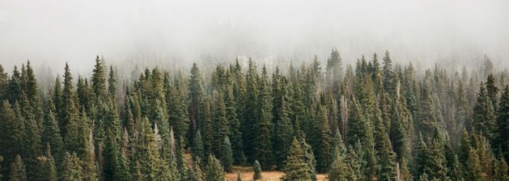 Making the Most of Your Summer&nbsp;Weekends