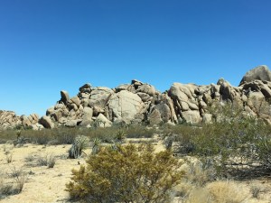 Joshua Tree National Park
