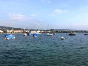 LakeZurich2