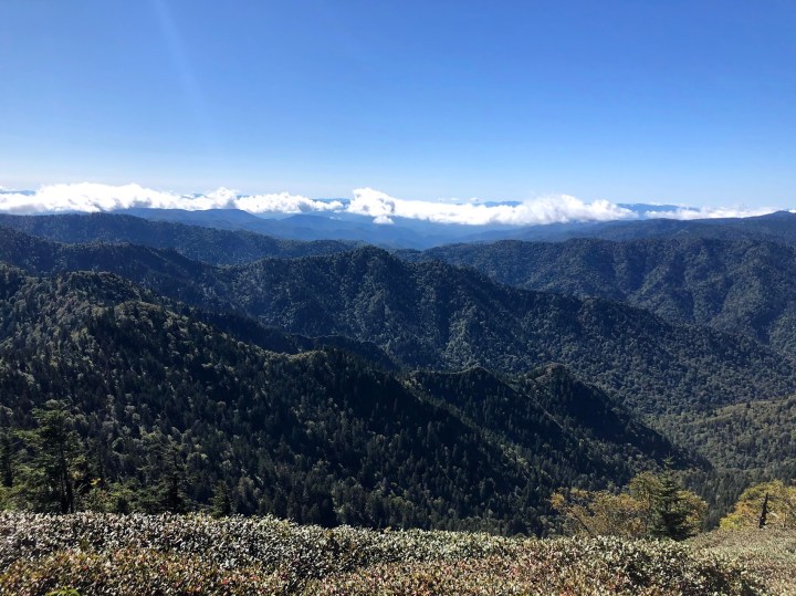 12.5 Miles in Great Smoky Mountains National&nbsp;Park