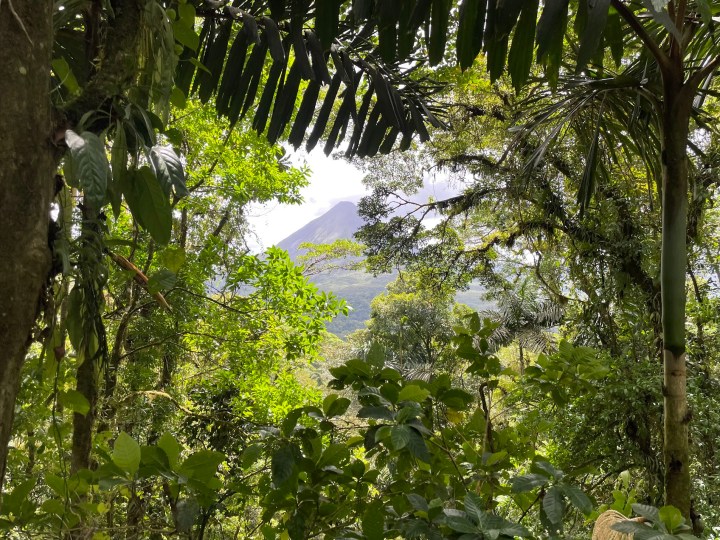 My Joyful Costa Rica&nbsp;List